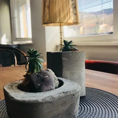 Cinema Courtyard Sarajevo